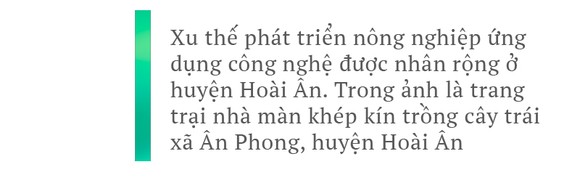 Hoài Ân – Bình Định: Tìm hướng đi bền vững cho nông sản ảnh 23