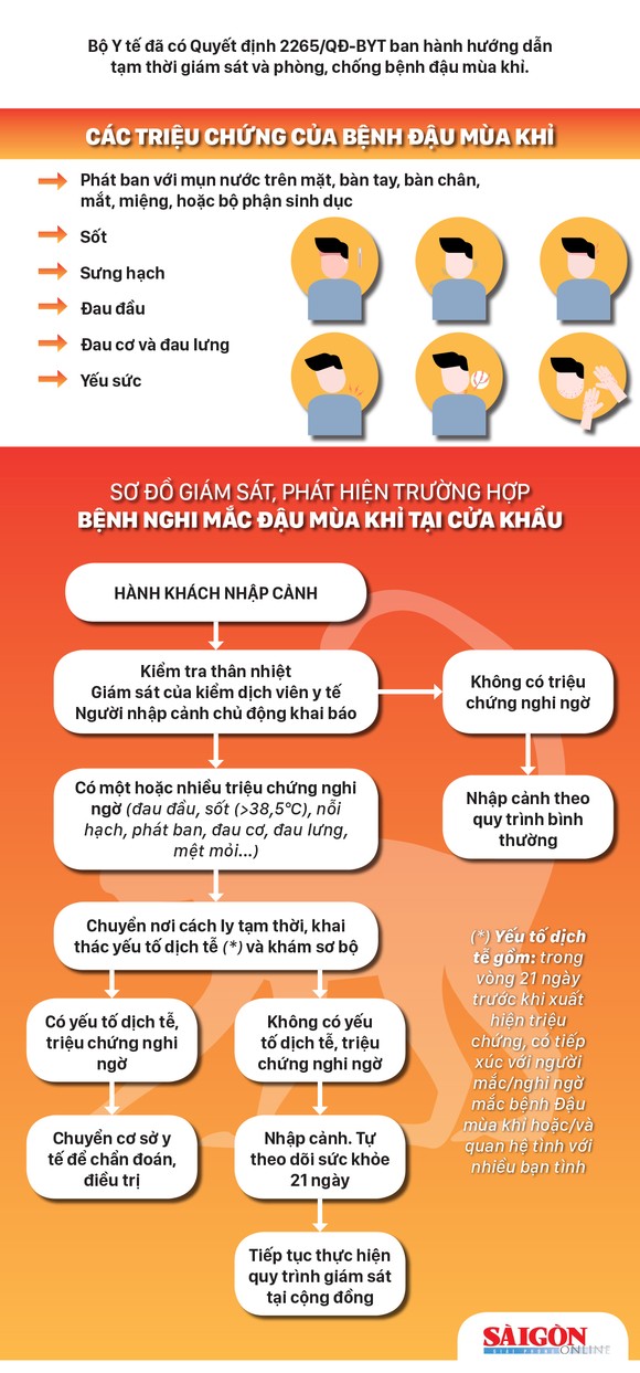 Giám sát bệnh đậu mùa khỉ tại cửa khẩu ảnh 1