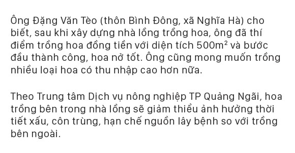 Quảng Ngãi thí điểm mô hình nhà lồng trồng hoa ảnh 18