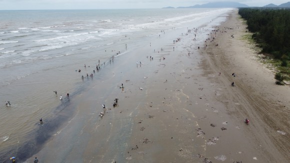 Sau ảnh hưởng bão số 4, người dân đổ xô đi nhặt 'lộc biển' ảnh 14