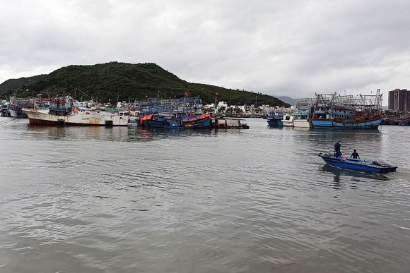 Tàu thuyền vào cảng Hòn Rớ, TP Nha Trang neo đậu để tránh bão. Ảnh: QUỲNH ANH