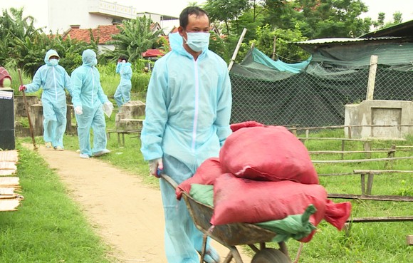 Xuất hiện "ổ" dịch cúm H5N6 có độc lực rất mạnh tại Phú Yên ảnh 3
