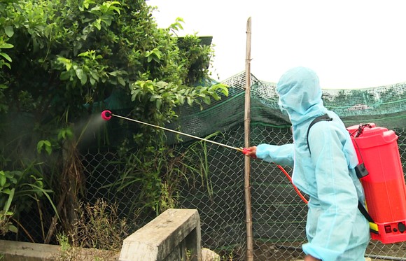 Xuất hiện "ổ" dịch cúm H5N6 có độc lực rất mạnh tại Phú Yên ảnh 5