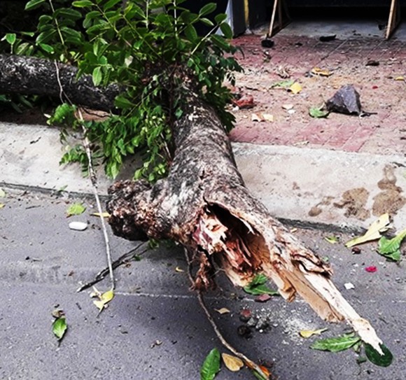 Ô tô bất ngờ lao lên vỉa hè, 2 người thương vong ảnh 4
