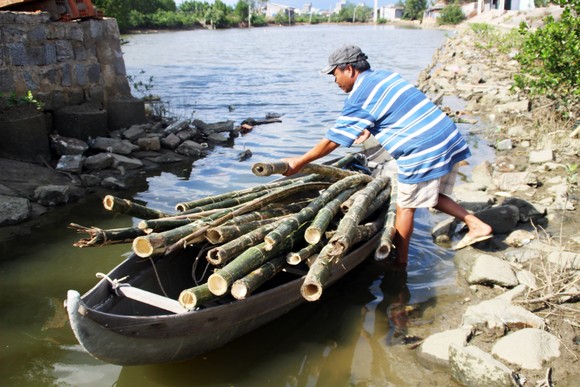 Người nuôi cá, cua đầm Thị Nại lo “mất tết” ảnh 6
