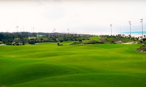 Vụ giám đốc sở, phó cục trưởng đánh golf trong thời gian giãn cách: Tạm đình chỉ Phó Cục trưởng Cục Thuế Bình Định ảnh 1