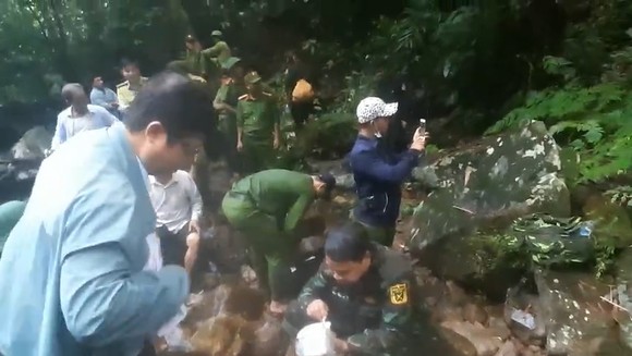 Khám nghiệm hiện trường vụ 5 cá thể voọc chà vá bị bắn chết ảnh 1