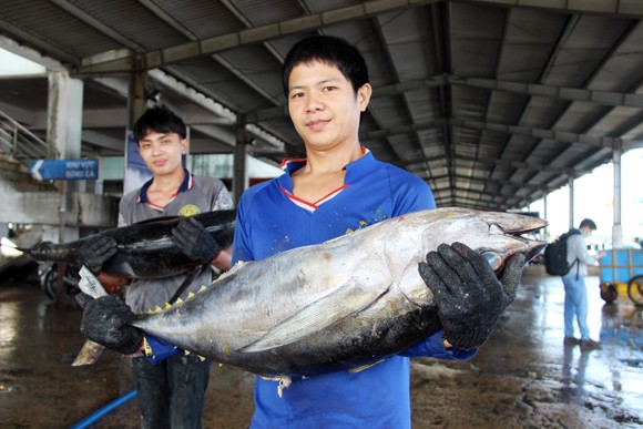 Ngư dân ra biển ăn tết ảnh 21