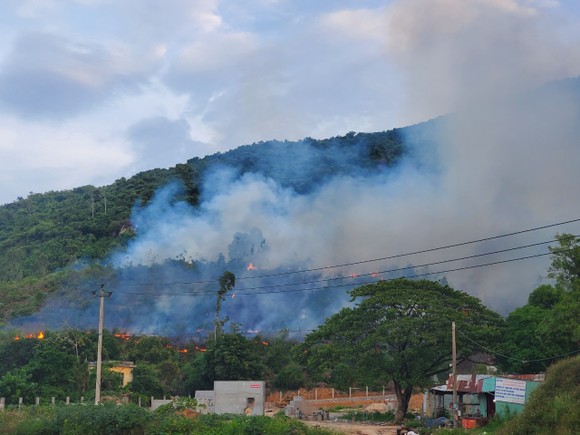 Khống chế đám cháy lớn ở núi Vũng Chua, TP Quy Nhơn ảnh 1