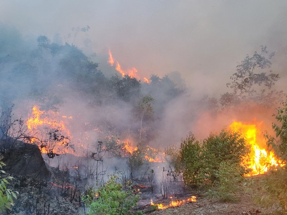 Khống chế đám cháy lớn ở núi Vũng Chua, TP Quy Nhơn ảnh 2