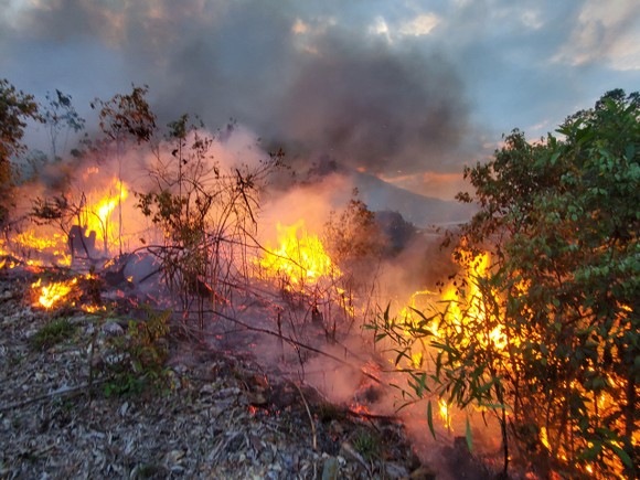 Khống chế đám cháy lớn ở núi Vũng Chua, TP Quy Nhơn ảnh 4