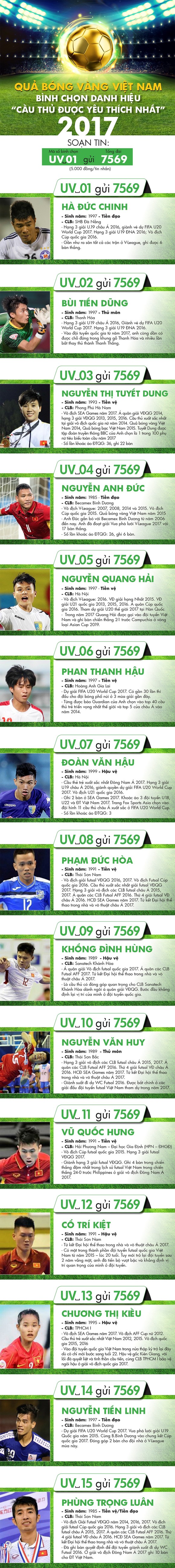 Bầu chọn giải “Cầu thủ được yêu thích nhất trong năm“ ảnh 1