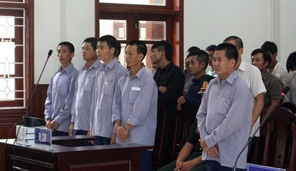 Phá rừng pơmu Quảng Nam, nguyên Đồn phó Đồn Biên phòng lãnh 4 năm tù giam ảnh 3