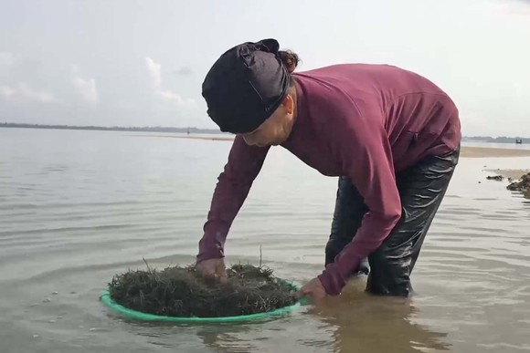 Mưu sinh giữa mùa dịch ảnh 6