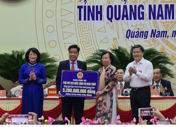 Quảng Nam tổ chức Đại hội thi đua yêu nước lần thứ VIII  ảnh 4