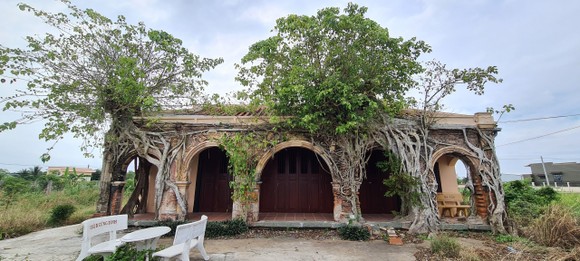 Ngôi đình trăm tuổi được ôm trọn và chống đỡ bởi hai gốc cây bồ đề to lớn ảnh 1
