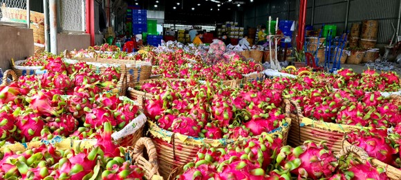 Nhờ HTX, người trồng thanh long luôn có lãi ảnh 1