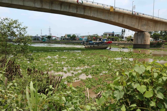 Kênh Chợ Gạo sạt lở uy hiếp cuộc sống người dân ảnh 8