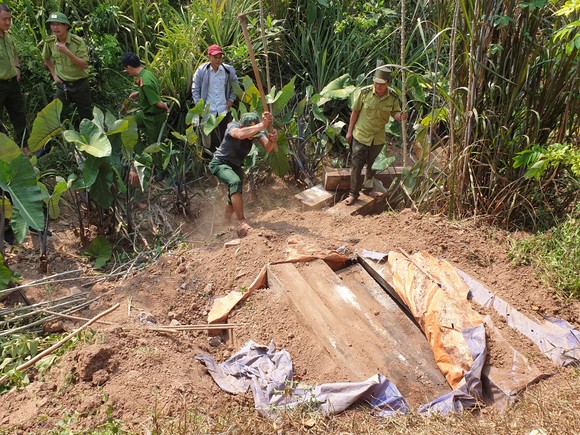 Quảng Bình: 7 lãnh đạo đồn biên phòng Cồn Roàng bị kỷ luật từ cảnh cáo đến khiển trách liên quan đến vụ phá rừng gỗ mun ảnh 1