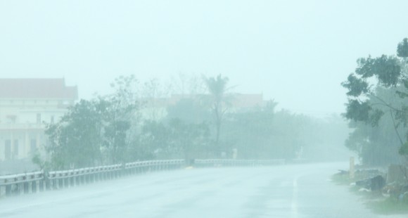 Quảng Bình mưa trắng trời, Huế cây cối ngã đổ ảnh 9