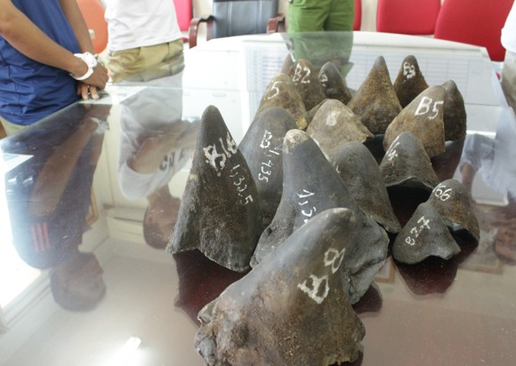 Việt Nam xử lý nghiêm đối với tội phạm buôn bán sừng tê giác ảnh 1