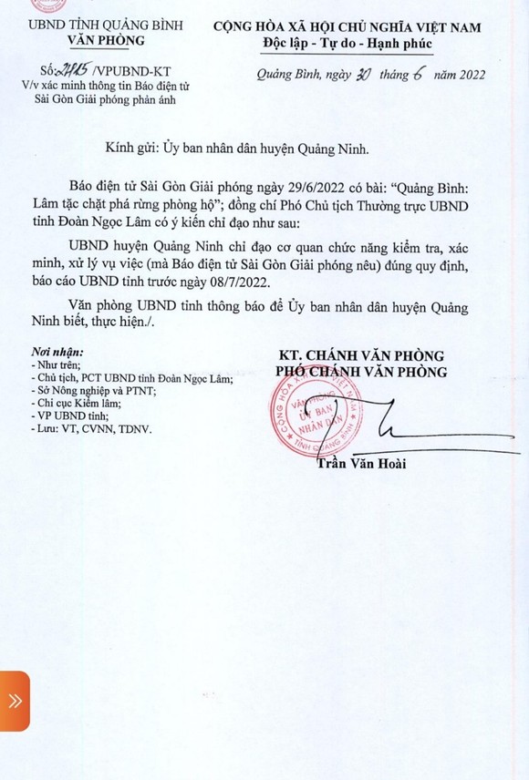 Quảng Bình: UBND tỉnh yêu cầu xử lý vụ lâm tặc phá rừng phòng hộ ảnh 1