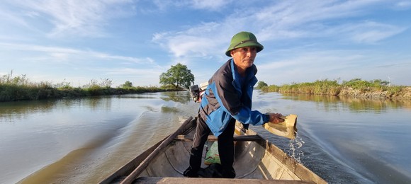 Hai vợ chồng nông dân bảo vệ chim trời ở phá Hạc Hải ảnh 2