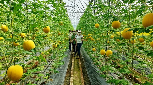 Chủ tịch Quốc hội Vương Đình Huệ: Vĩnh Long cần đẩy mạnh hợp tác, liên kết vùng để phát triển bền vững ảnh 3