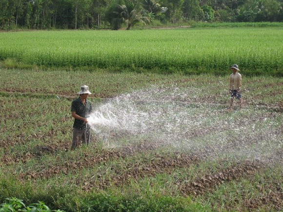 Chủ tịch Quốc hội Vương Đình Huệ: Vĩnh Long cần đẩy mạnh hợp tác, liên kết vùng để phát triển bền vững ảnh 1