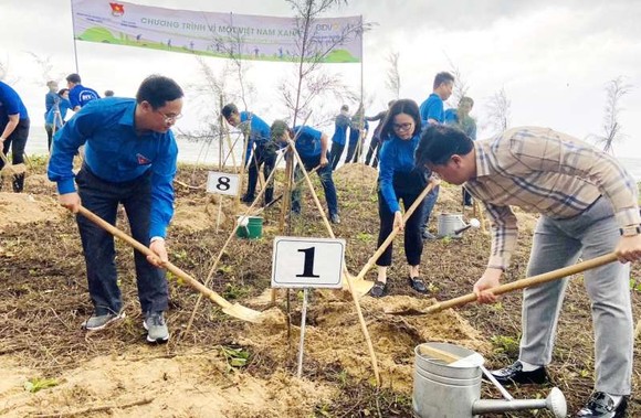 共青團平順省省委與中央企業機關共青團在富貴島上種樹。