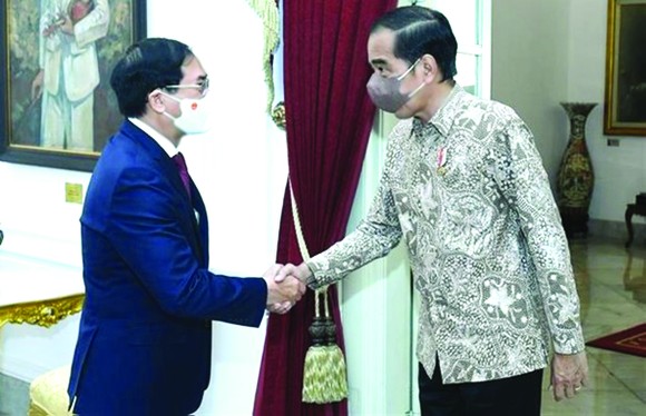越南外交部長裴青山會見印尼總統 佐科‧維多多。