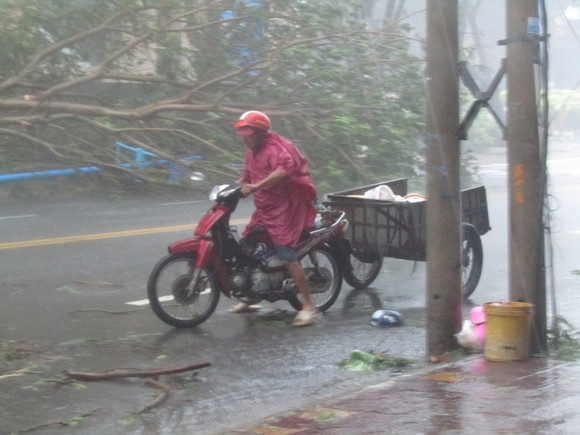 Vũng Tàu - Bến Tre mưa lớn, gió giật mạnh, Khánh Hòa - Ninh Thuận ngập lụt, đường sắt tê liệt  ảnh 6