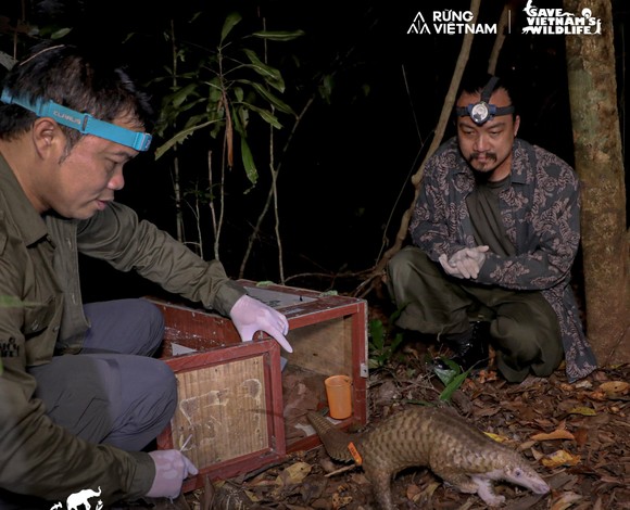 Hà Anh Tuấn trở thành đại sứ chương trình hợp tác Rừng Việt Nam và Save Vietnam’s Wildlife” ảnh 7