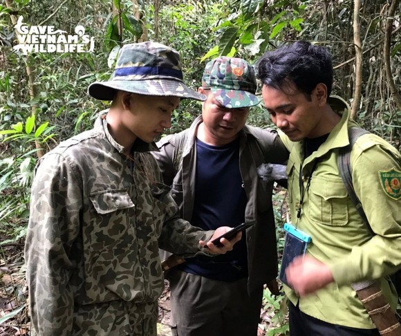 Hà Anh Tuấn trở thành đại sứ chương trình hợp tác Rừng Việt Nam và Save Vietnam’s Wildlife” ảnh 8