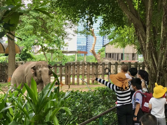 Hơn 45.000 lượt khách tham quan Thảo Cầm Viên Sài Gòn trong 2 ngày nghỉ lễ ảnh 3
