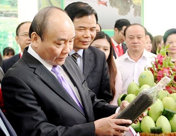 Thủ tướng Nguyễn Xuân Phúc: “Đồng Tháp phải đi đầu trong tái cơ cấu nông nghiệp” ảnh 1