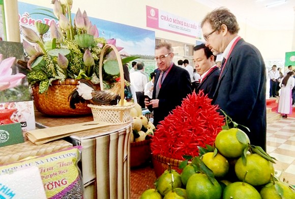 Thủ tướng Nguyễn Xuân Phúc: “Đồng Tháp phải đi đầu trong tái cơ cấu nông nghiệp” ảnh 2