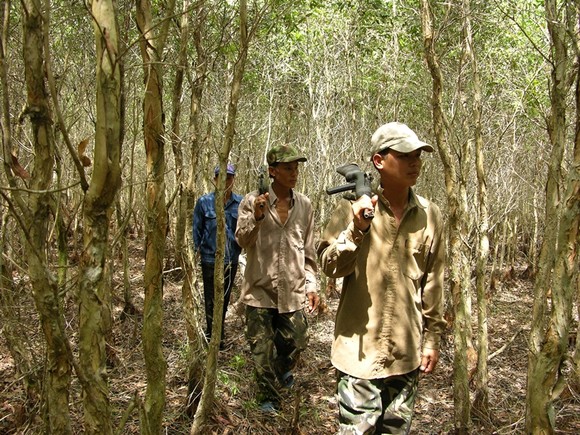 Mưa trên diện rộng tại ĐBSCL ảnh 2
