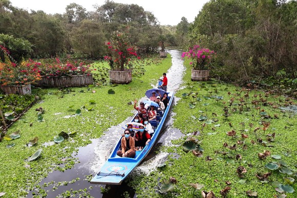 ĐBSCL có thêm khu du lịch sinh thái rừng ngập nước ảnh 1