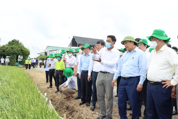 Chủ tịch nước Nguyễn Xuân Phúc khen ngợi mô hình Hội quán ở Đồng Tháp ảnh 2