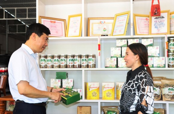 Đồng Tháp sẵn sàng cho lễ hội Sen lần 1-2022 ảnh 4