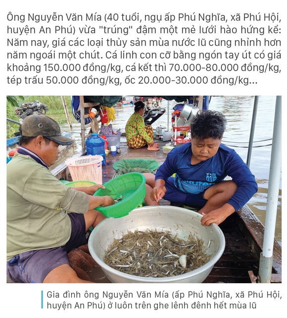 Nhộn nhịp chợ cá đặc sản mùa nước lũ ảnh 2