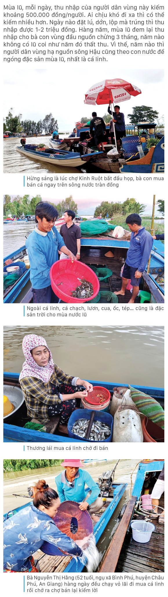 Nhộn nhịp chợ cá đặc sản mùa nước lũ ảnh 4