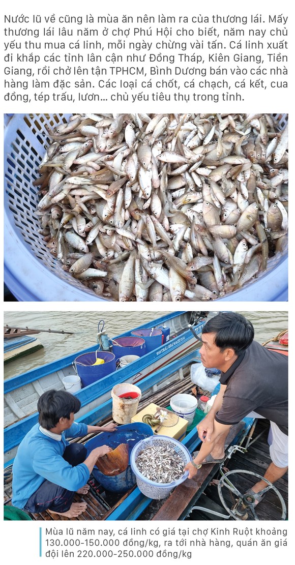Nhộn nhịp chợ cá đặc sản mùa nước lũ ảnh 3