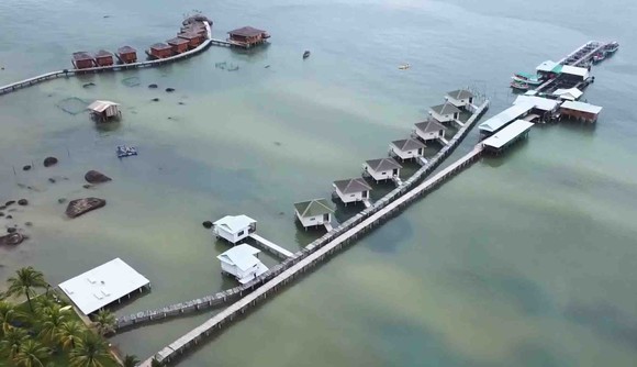 Trong 2 tháng, Kiên Giang khởi tố 11 vụ phá rừng Phú Quốc ảnh 2
