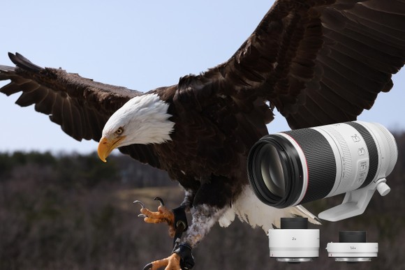 Canon ra mắt máy ảnh EOS R5, R6 và loạt ống kính mới  ảnh 7