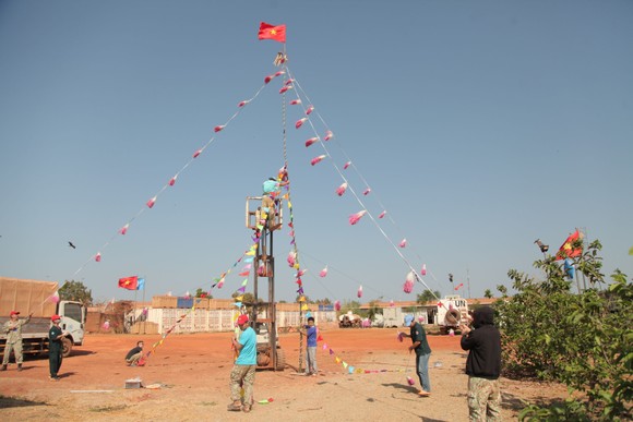 Cây nêu Việt Nam cao 10m trên đất châu Phi xa xôi ảnh 1