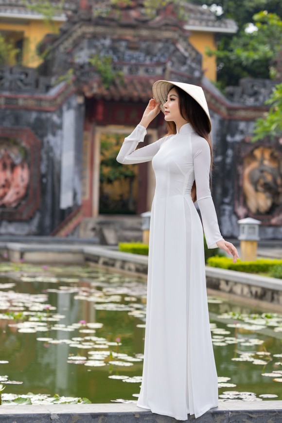 Đoàn Hồng Trang mang áo dài lụa vẽ Hội An đến Miss Global 2022 ảnh 1