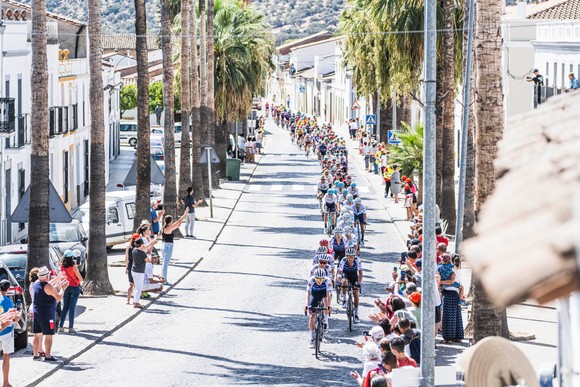 Ứng viên nặng ký Primoz Roglic bỏ Vuelta a Espana 2022 vì chấn thương ảnh 1