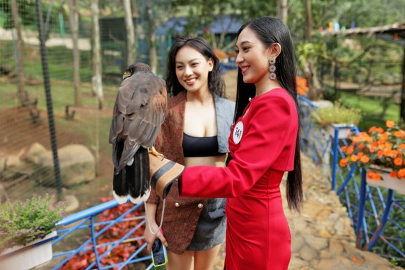 Thí sinh Hoa hậu Hoàn vũ Việt Nam 2022 tập trung tại Bảo Lộc, tham gia hoạt động đồng hành đầu tiên vòng bán kết, chung kết ảnh 3